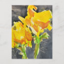 Recherche de crayons cartes postales Pour tous