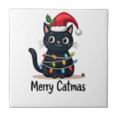 Recherche de famille de chat carreaux Chats