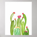 Recherche de cactus no art Plante