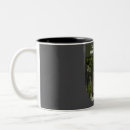 Recherche de fougère tasses Forêt tropicale