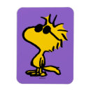 Recherche de lunettes magnets Mignon