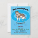 Recherche de husky invitations Animaux domestiques