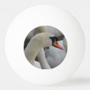 Recherche de blanc balles ping pong Sport