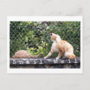 Recherche de escargot et chat cartes postales Pour tous