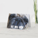 Recherche de pug dog Funny