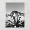 Recherche de frontière cartes postales Texas