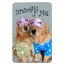 Recherche de somnolent magnets Chien