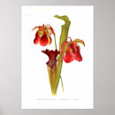 Recherche de brocs posters Illustration