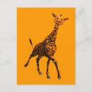 Recherche de tête de girafe cartes postales Girafes