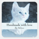Recherche de amour de chat photographie Félin