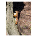 Recherche de arbres rouges posters Photographie