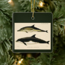 Recherche de mammifère ornements Dauphins