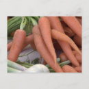 Recherche de de carottes cartes postales Vert