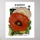 Recherche de poppy posters Jardin