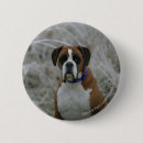Recherche de chien boxeur badges Se reposer