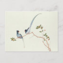 Recherche de qing cartes postales Oiseau