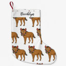 Recherche de mammifère chaussette de noël Pour tous