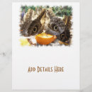 Recherche de insectes prospectus Animaux