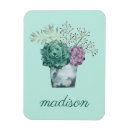 Recherche de poules magnets Succulent