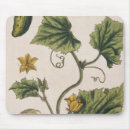 Recherche de concombre tapis souris Fruit