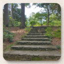 Recherche de escalier dessous de verres Nature