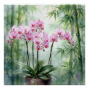 Recherche de orchidée verte posters Jardin