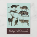 Recherche de animaux vintages cartes postales Cerf