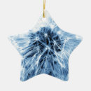 Recherche de pissenlit ornements Graines