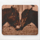 Recherche de deux chevaux tapis souris Amoureux des chevaux