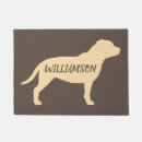 Recherche de bull Animaux