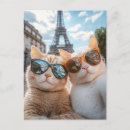 Recherche de chat paris cartes postales Chats