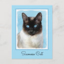 Recherche de chat original cartes postales Chaton