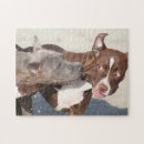 Recherche de pitbull puzzles Terrier