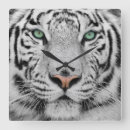 Recherche de tigre blanc horloges Félin