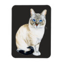 Recherche de pointe magnets Chat