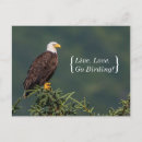 Recherche de chauve cartes postales Oiseau