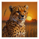 Recherche de guépard posters Faune