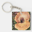 Recherche de mushroom porteclés Forêt