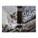 Recherche de minou bureau fournitures Chats