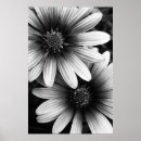 Recherche de pétale posters Fleurs