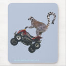 Recherche de lémur tapis souris Primats