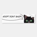 Recherche de minou voiture autocollants Dame folle de chat