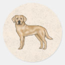 Recherche de labrador retriever jaune autocollants Mignon