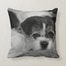 Recherche de animal familier coussins Coutume