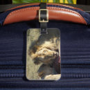 Recherche de africain bagages étiquettes Safari