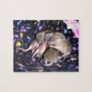 Recherche de agouti Pour tous