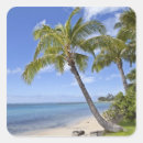 Recherche de tranquille autocollants Sable