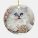 Recherche de perse ornements Chat