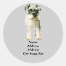 Recherche de chien schnauzer miniature autocollants Terrier