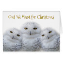 Recherche de chouette drôle cartes postales Pour eux